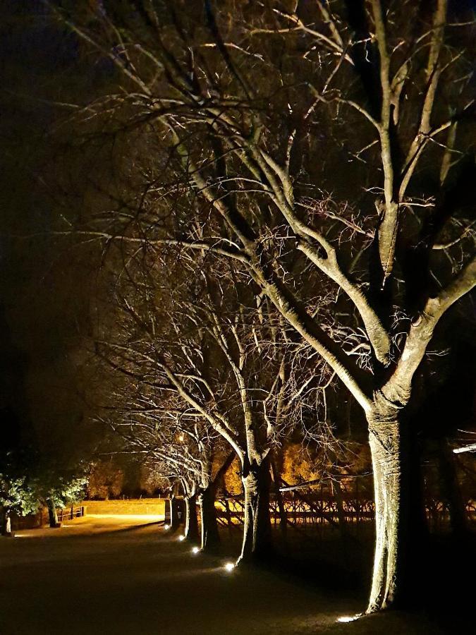 La Berlera - Riva Del Garda Otel Dış mekan fotoğraf