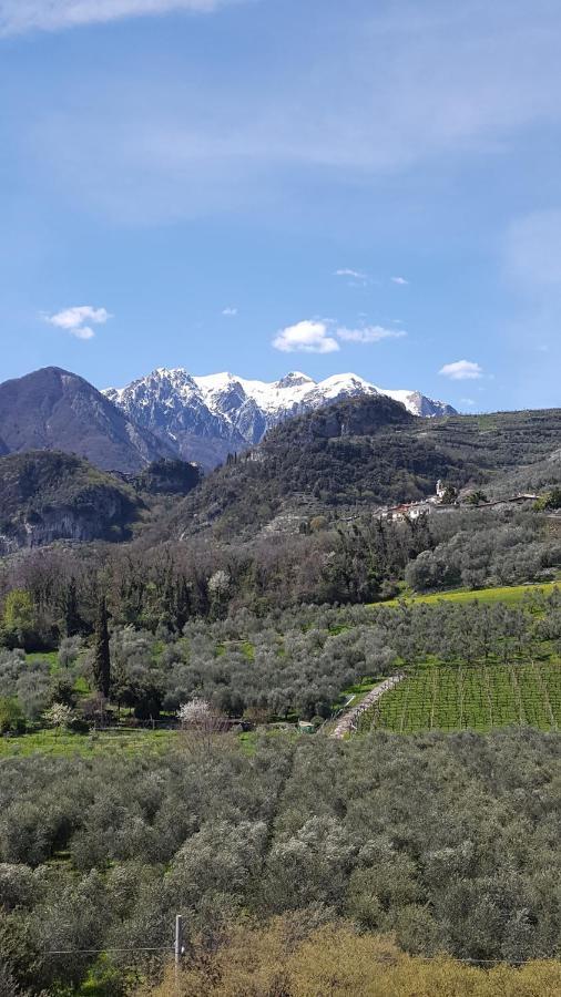 La Berlera - Riva Del Garda Otel Dış mekan fotoğraf