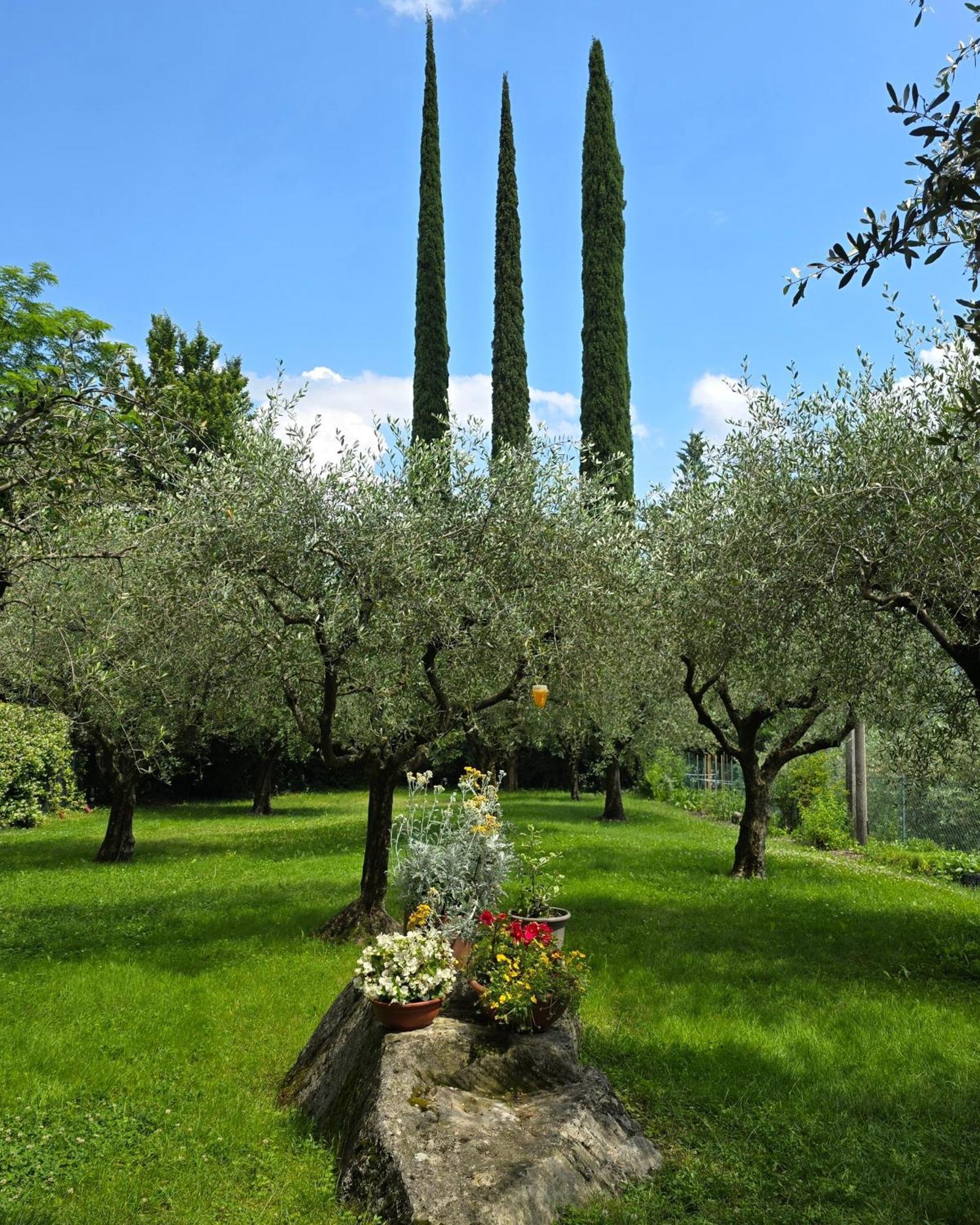 La Berlera - Riva Del Garda Otel Dış mekan fotoğraf